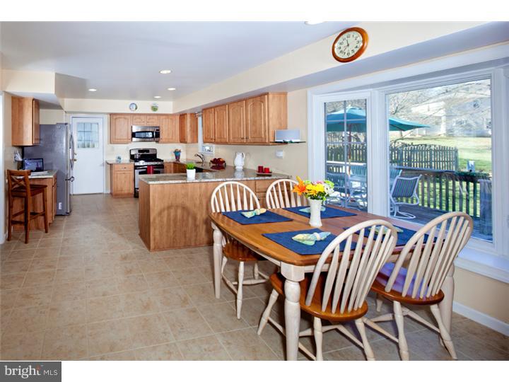 421 Ballytore Road Wynnewood, PA 19096 - Photo 5 of 19 Kitchen
