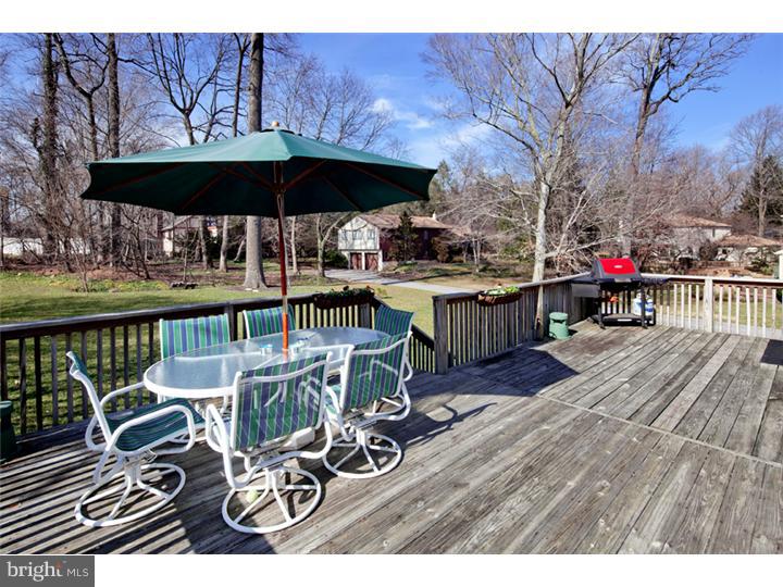 421 Ballytore Road Wynnewood, PA 19096 - Photo 8 of 19 Deck