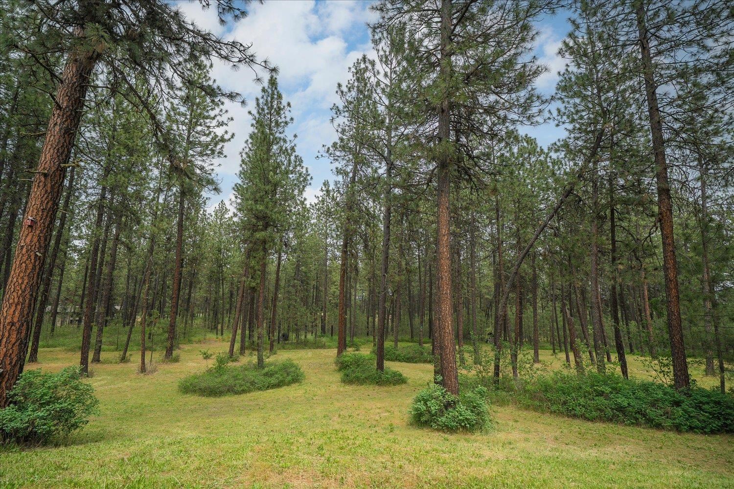 9114 South Thomas Mallen Road Cheney, WA 99004 - Photo 46 of 50