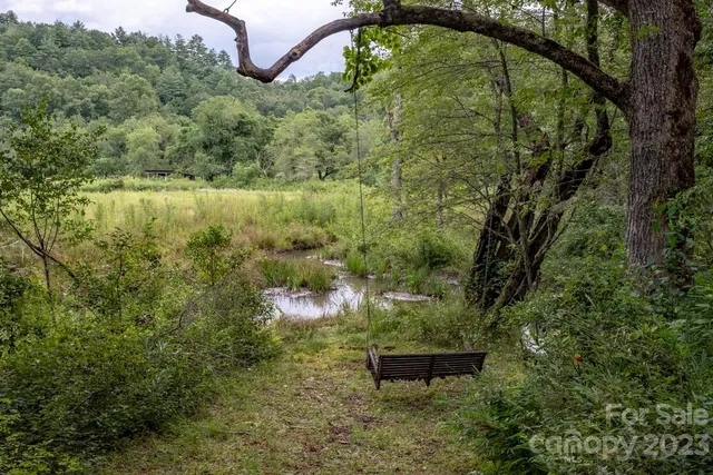 a view of a yard with a bench and trees