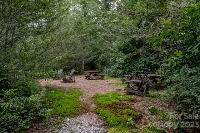 a view of a forest with trees