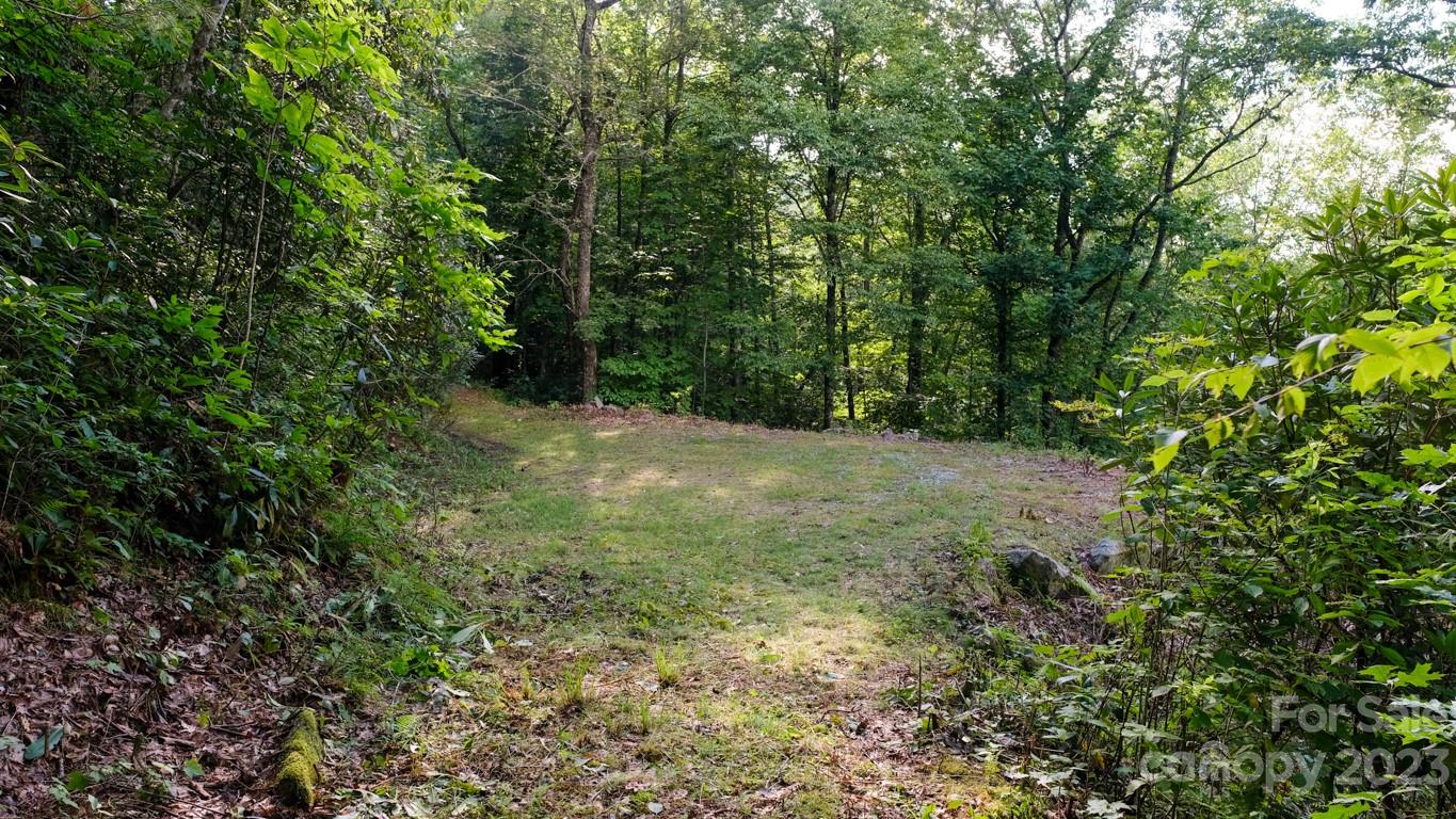 427 Quarry Road, Unit 22 Lake Toxaway, NC 28747 - Photo 5 of 21 a view of outdoor space and trees all around