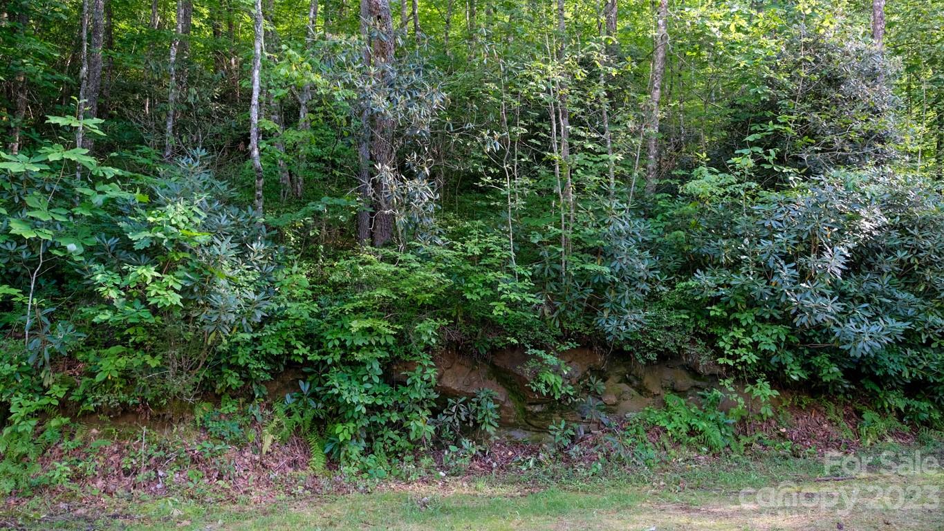 427 Quarry Road, Unit 22 Lake Toxaway, NC 28747 - Photo 7 of 21 a view of a forest with plants and trees