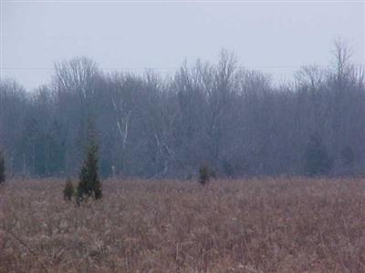 Butcher Road Coldwater, MI 49036 - Photo 4 of 7 Additional Photo