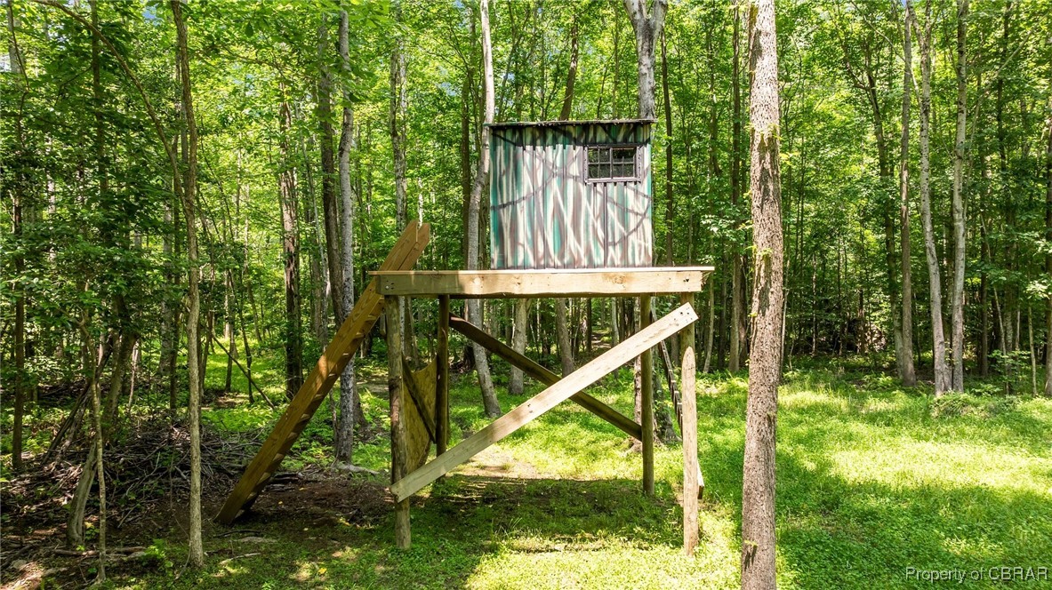 34 Acres Windsor Road North, VA 23128 - Photo 17 of 33 Raised hunting blind