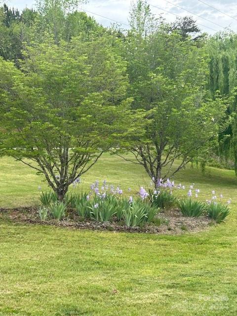 438 Jonestown Road Bostic, NC 28018 - Photo 27 of 30 Gallery Image 27