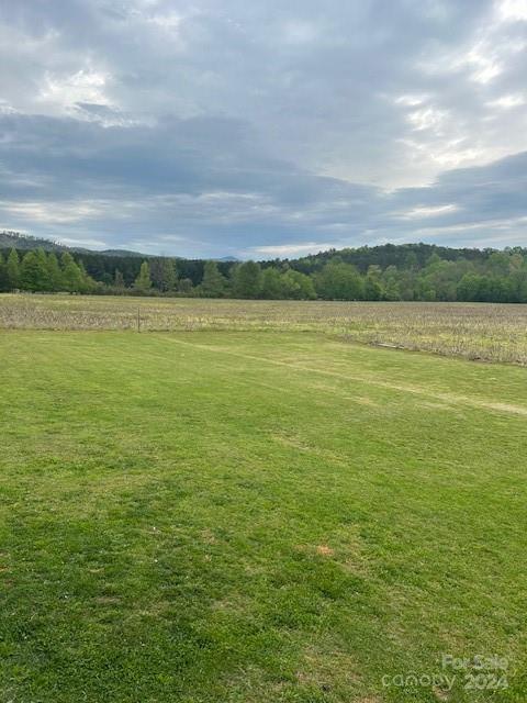 438 Jonestown Road Bostic, NC 28018 - Photo 29 of 30 Gallery Image 29