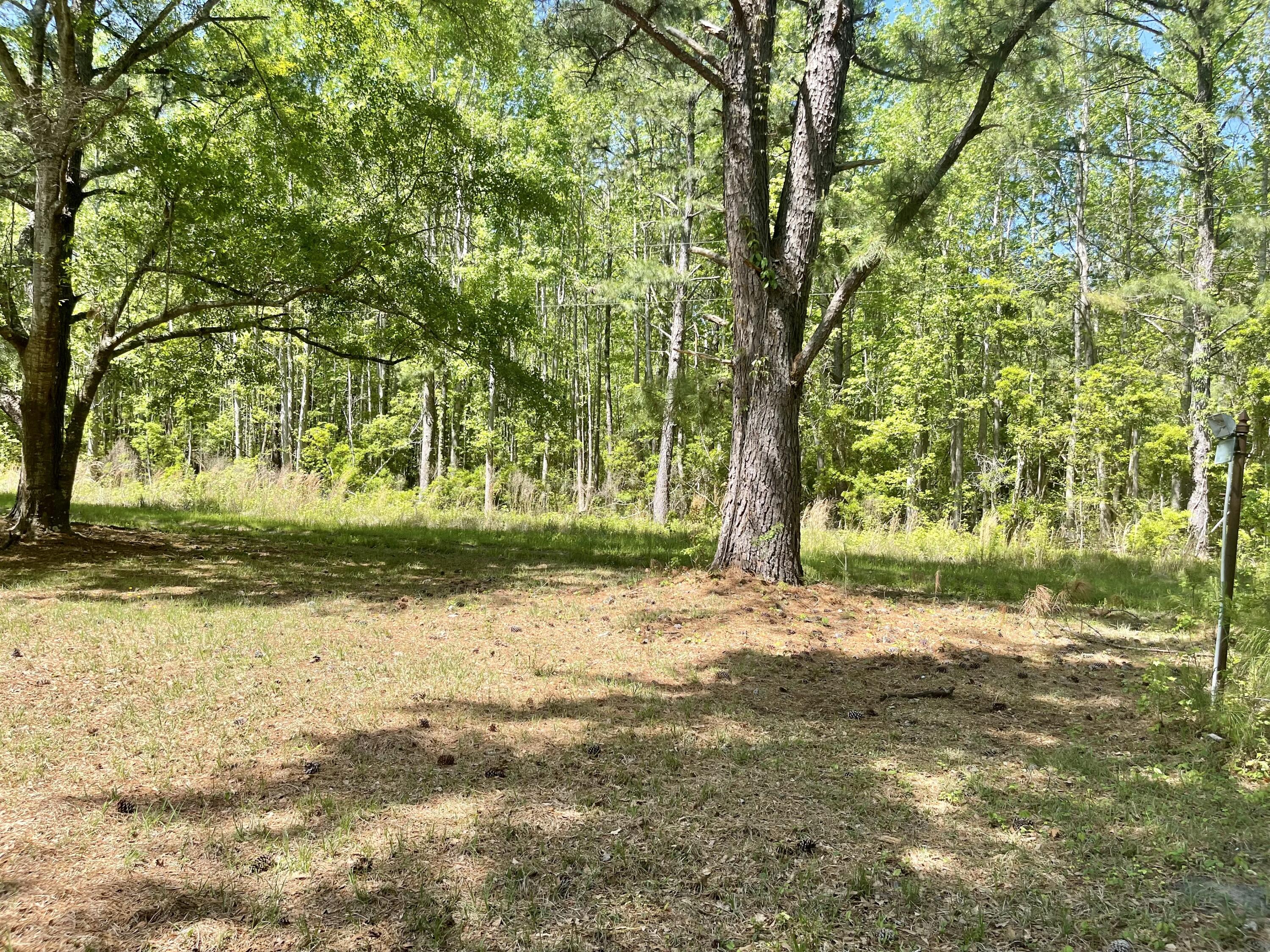 7693 White Point Road Hollywood, SC 29449 - Photo 10 of 36 IMG_4205