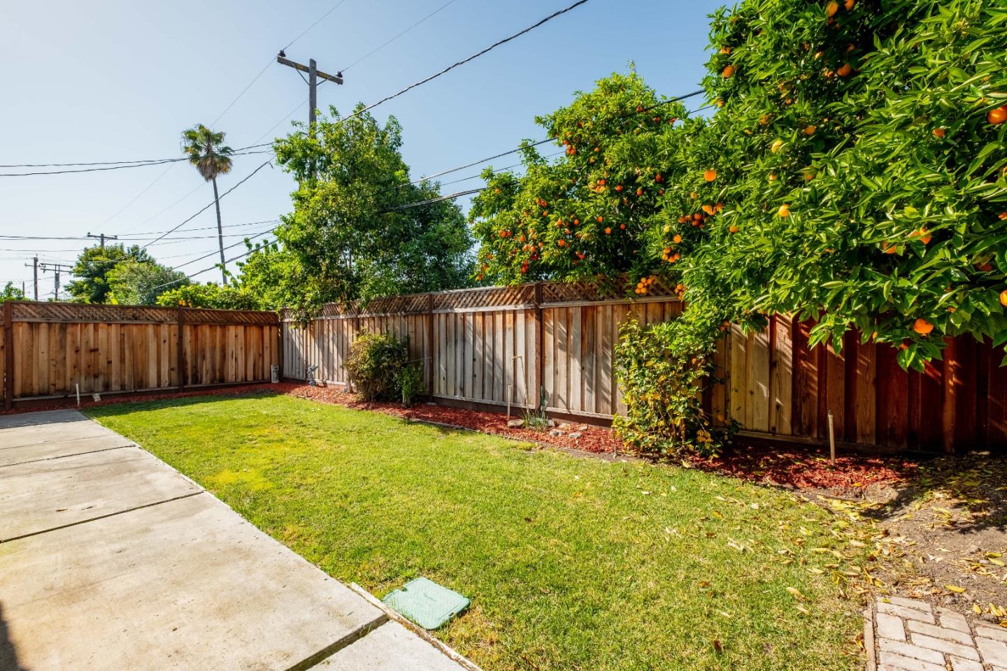 265 Bieber Drive San Jose, CA 95123 - Photo 26 of 28 a view of a backyard with large tree and wooden fence