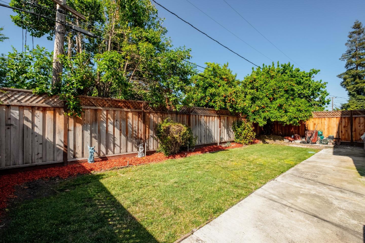 265 Bieber Drive San Jose, CA 95123 - Photo 27 of 28 a view of a backyard with potted plants and large trees
