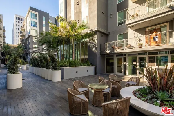 a view of a potted plants on a patio
