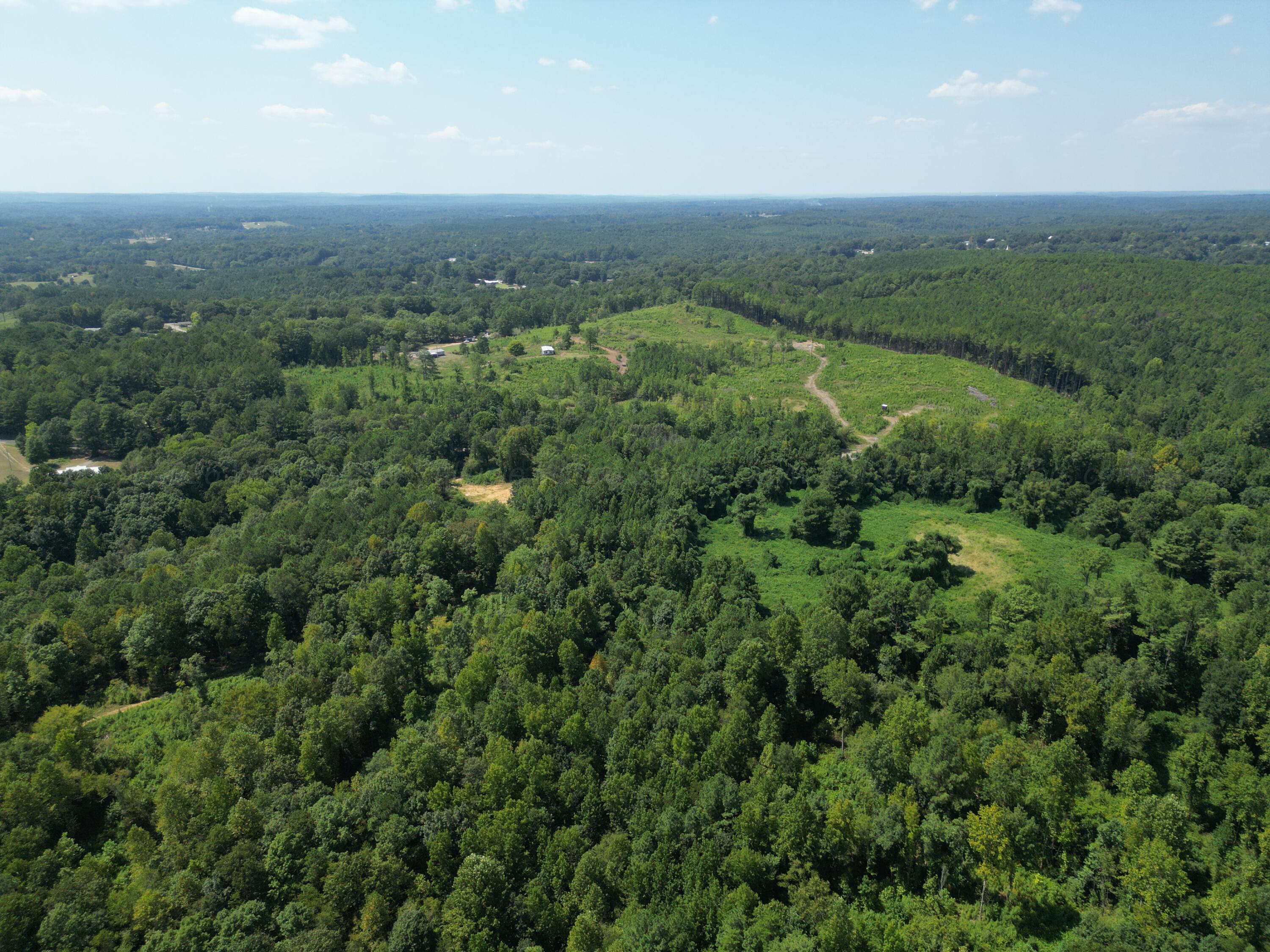 0 Old Baltimore Road Parrish, AL 35580 - Photo 22 of 33 Gallery Image 22