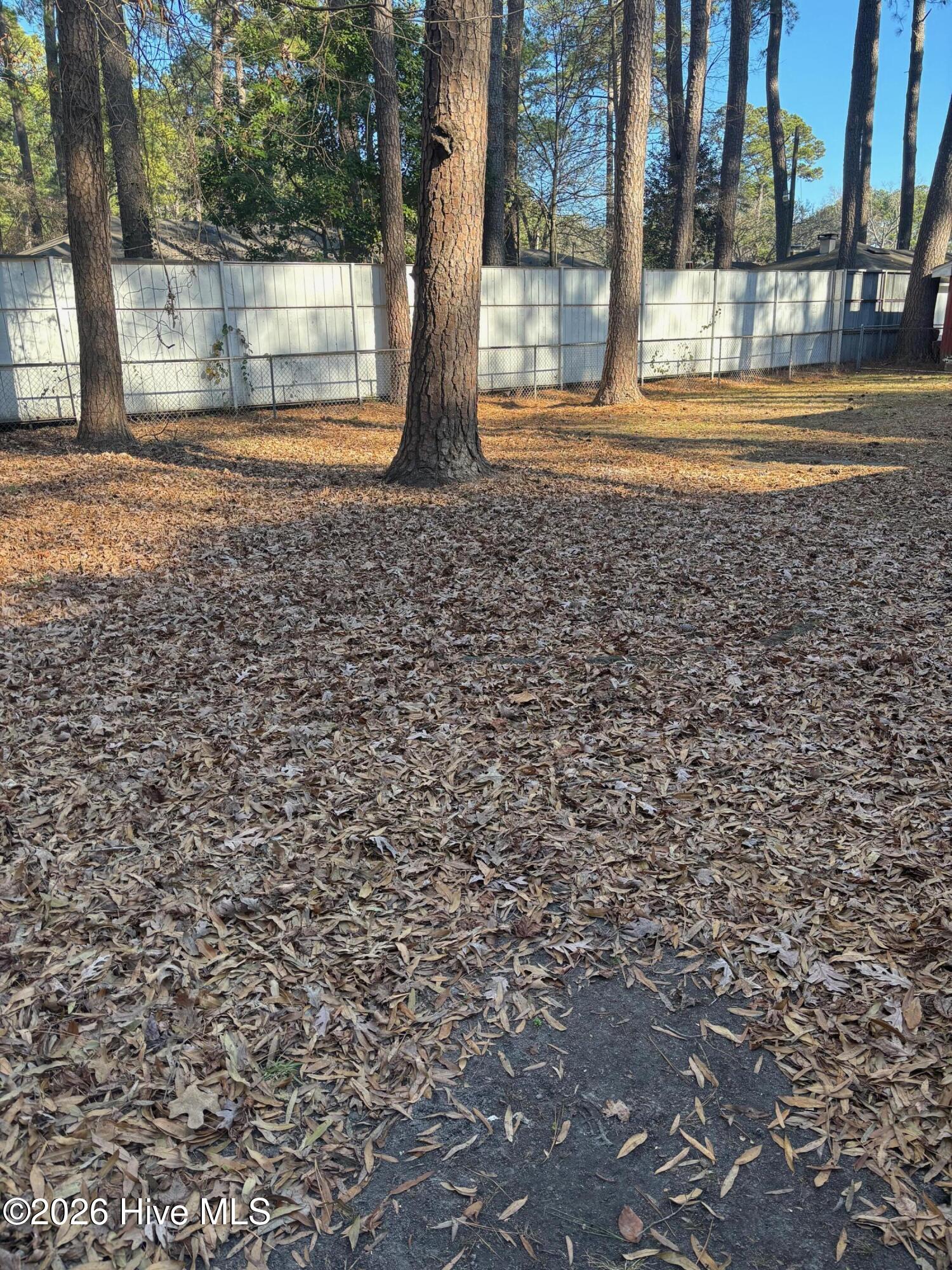 1606 Adams Street North Wilson, NC 27893 - Photo 25 of 25 23_Back Yard