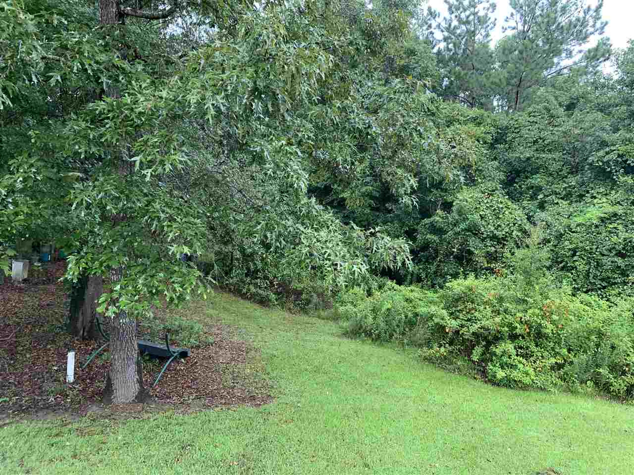 156 Old Jerusalem Church Road Carthage, MS 39051 - Photo 18 of 28 Photo 18