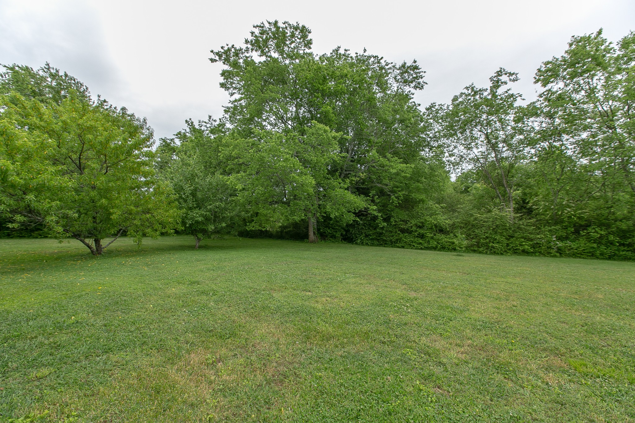 1215 Lawrence Road Murfreesboro, TN 37128 - Photo 21 of 49 Gallery Image 21