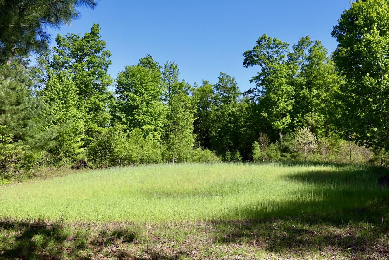 11547 1 Mile Road Leroy, MI 49655 - Photo 47 of 73 36_A