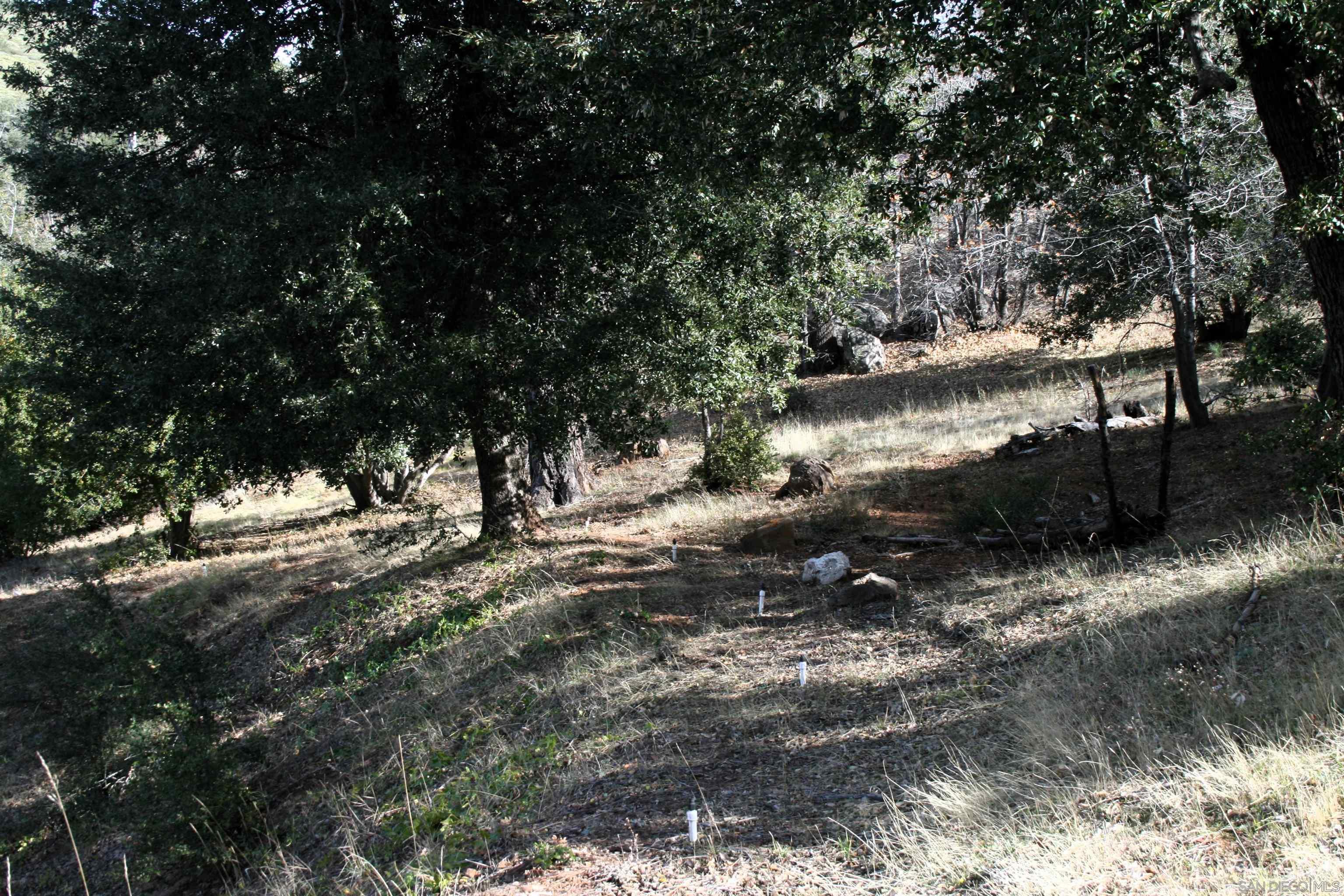 7711 Engineers Road Julian, CA 92036 - Photo 23 of 35 Gallery Image 23