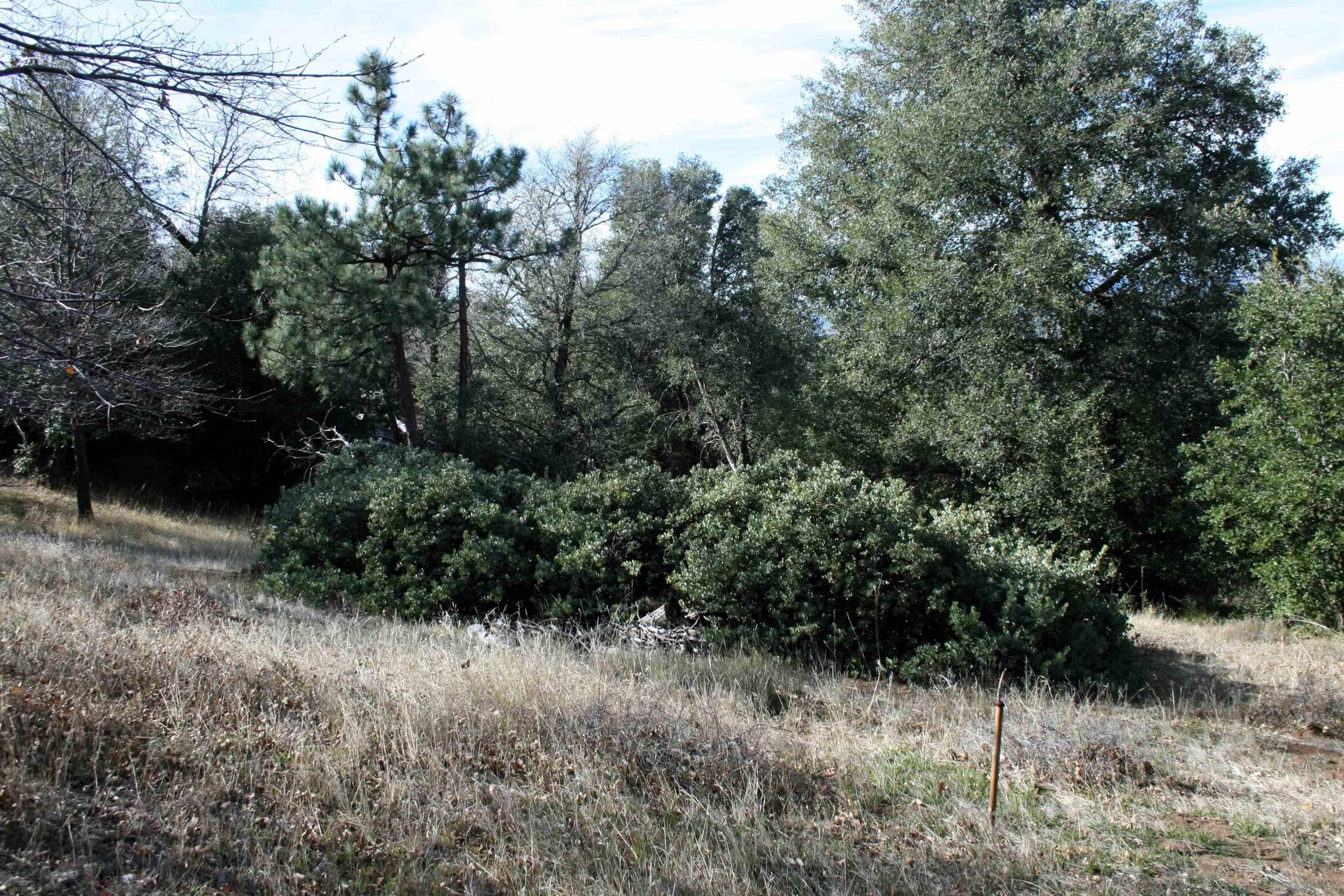 7711 Engineers Road Julian, CA 92036 - Photo 25 of 35 Gallery Image 25