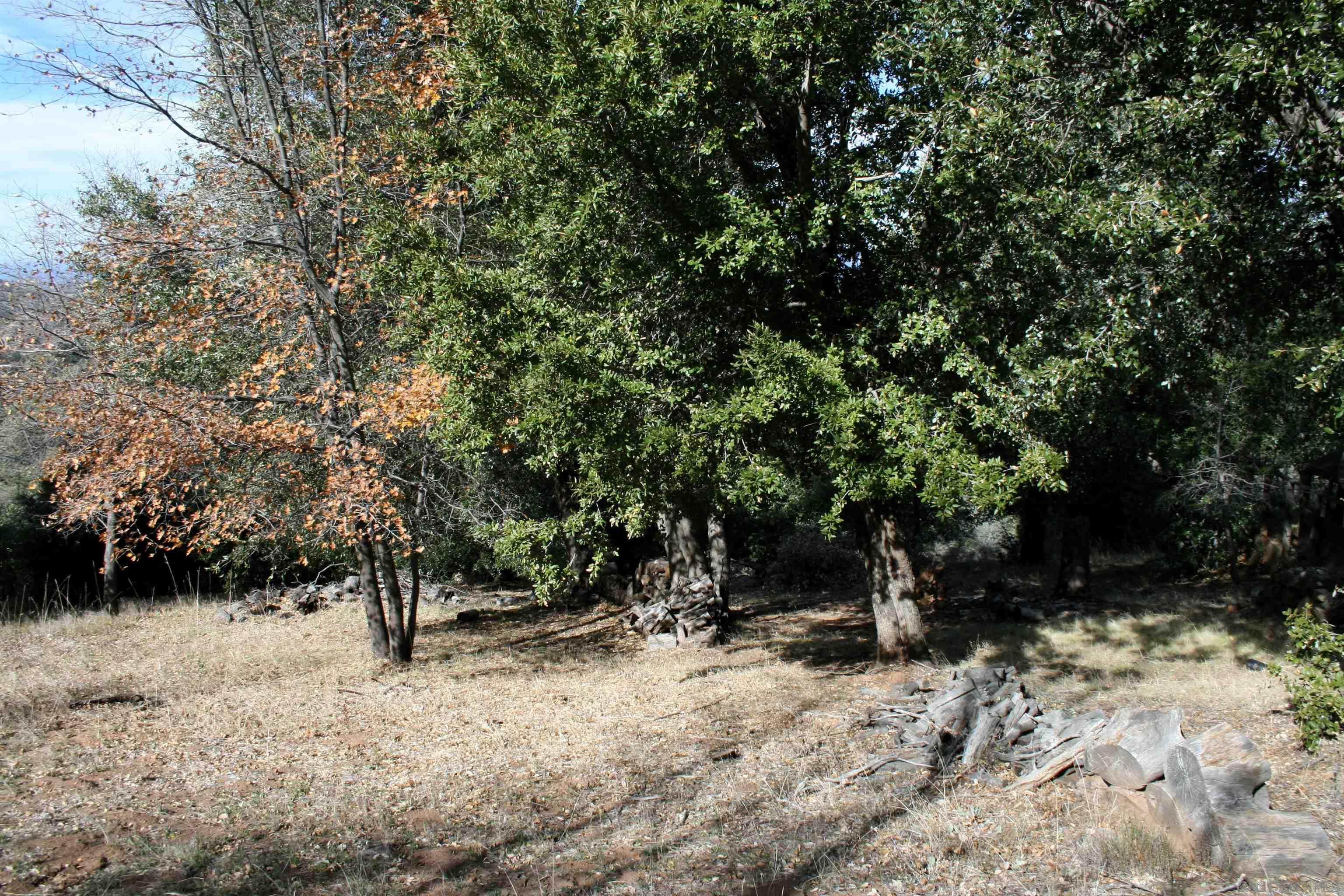 7711 Engineers Road Julian, CA 92036 - Photo 26 of 35 Gallery Image 26