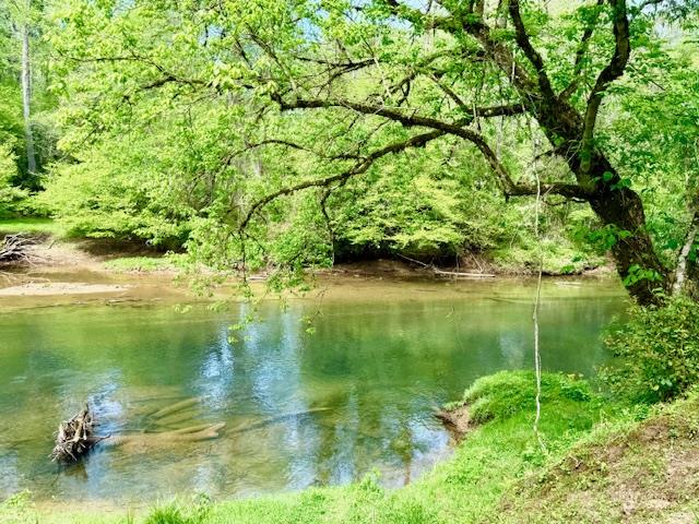 59 Rainy Farm Road Murphy, NC 28906 - Photo 5 of 14 a backyard of a house with lots of green space and lake view