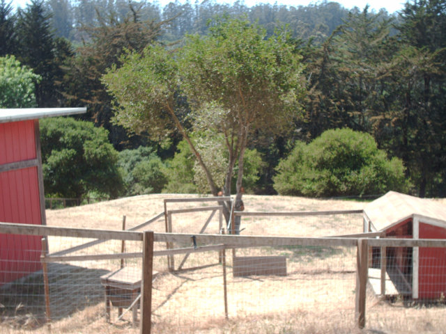 277 Maher Road Watsonville, CA 95076 - Photo 7 of 11 Gallery Image 7