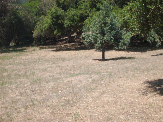 277 Maher Road Watsonville, CA 95076 - Photo 10 of 11 Gallery Image 10