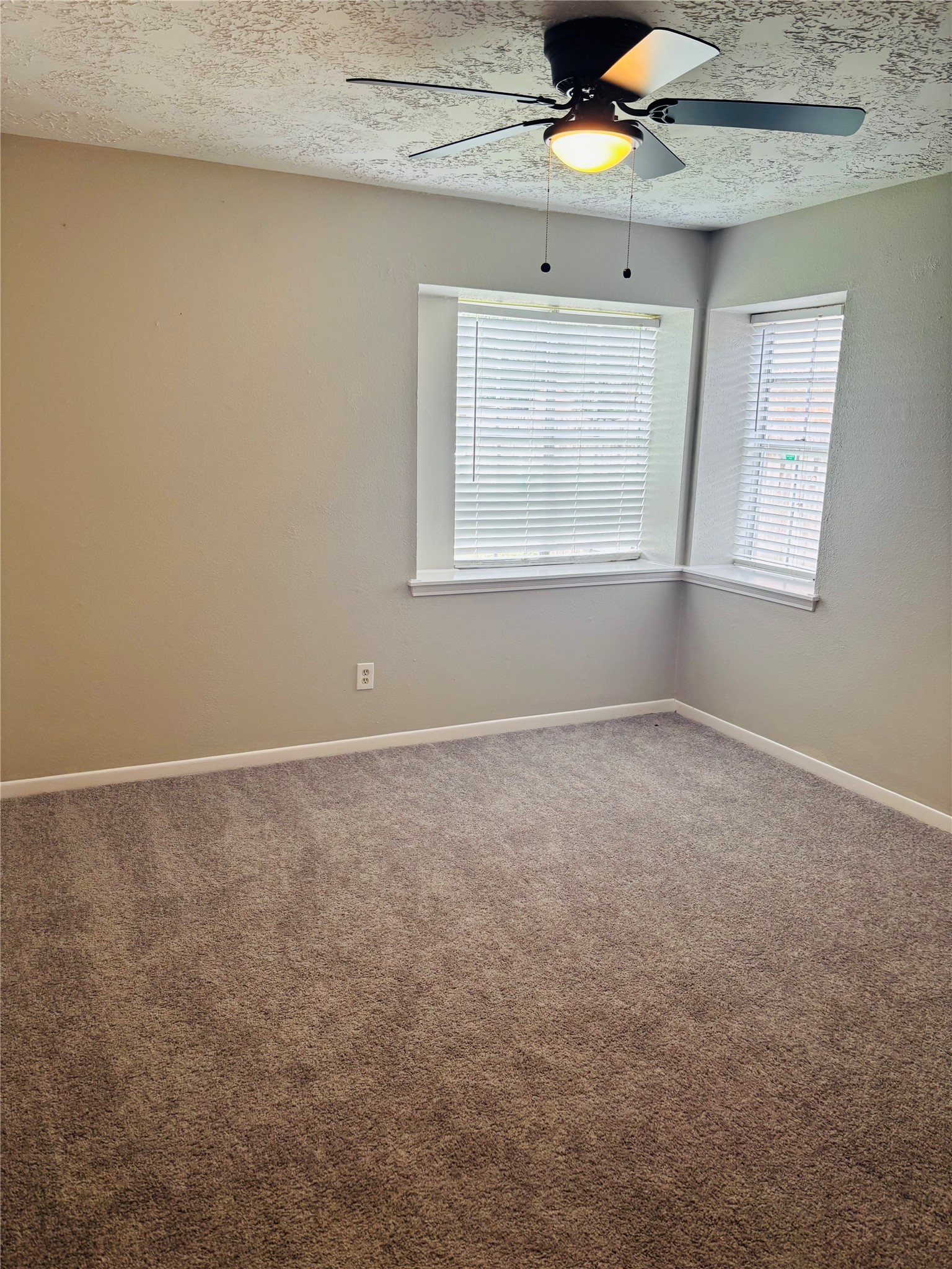 25302 Thistlewaite Lane Spring, TX 77373 - Photo 9 of 12