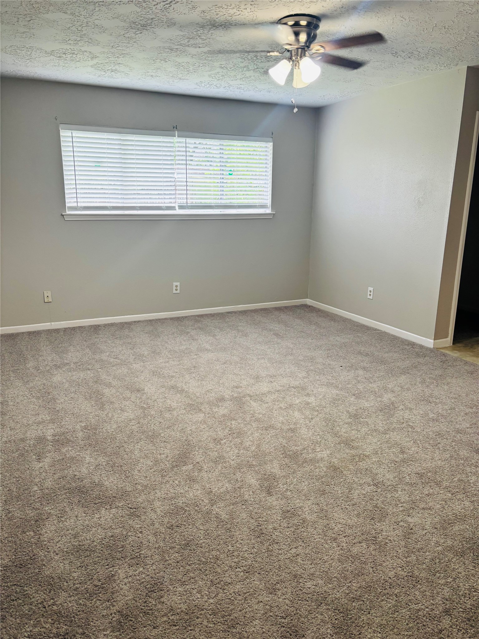 25302 Thistlewaite Lane Spring, TX 77373 - Photo 10 of 12