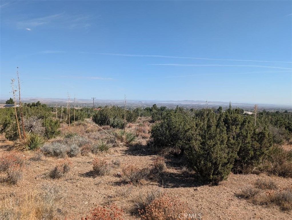 12 Tamarack Road Pinon Hills, CA 92372 - Photo 1 of 9 Gallery Image 1