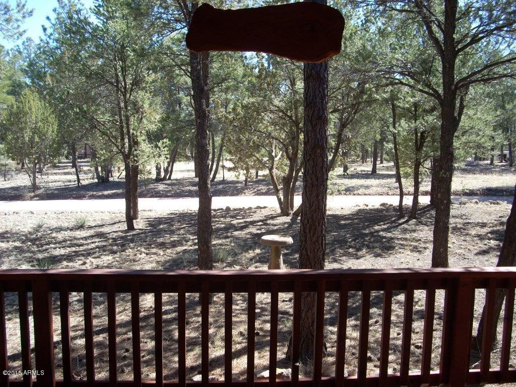 1900 Chevelon Road Overgaard, AZ 85933 - Photo 5 of 39 1900cHEVELON (27).jpg