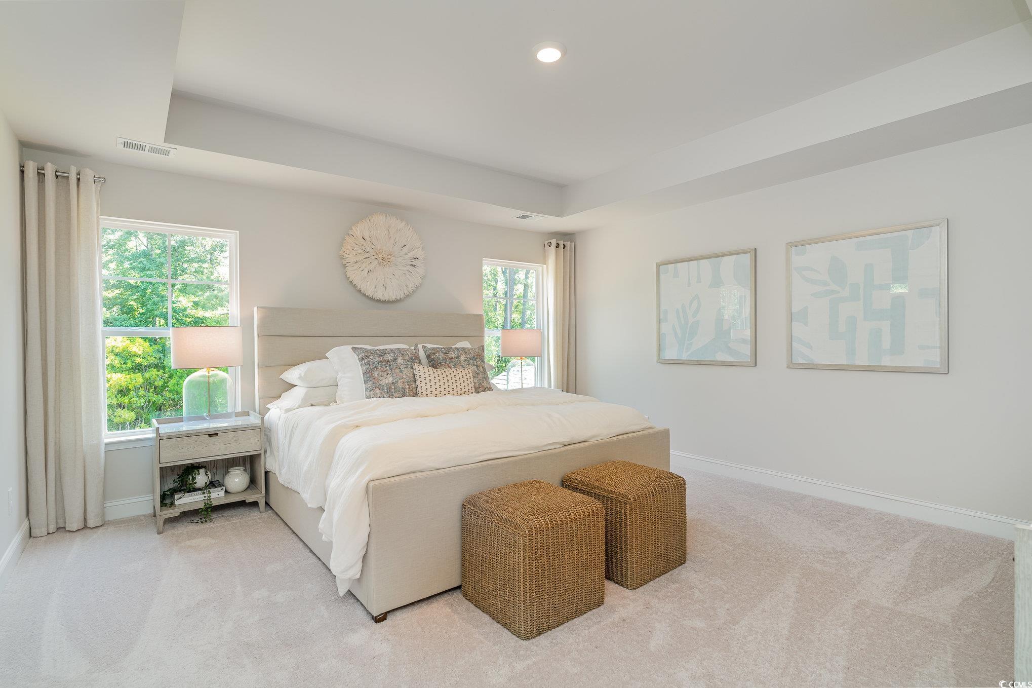 534 Haven View Way Murrells Inlet, SC 29576 - Photo 15 of 32 Bedroom featuring visible vents, baseboards, light colored carpet, and a raised ceiling
