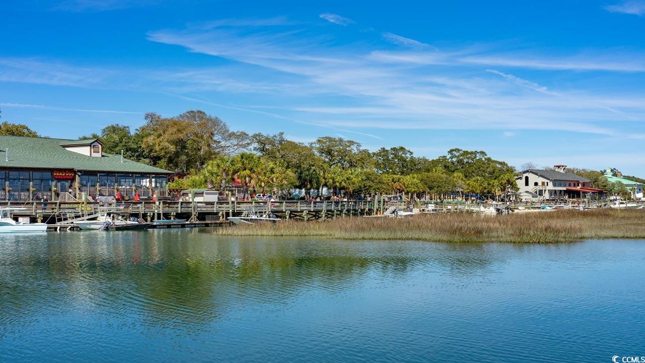 534 Haven View Way Murrells Inlet, SC 29576 - Photo 25 of 32 Gallery Image 25
