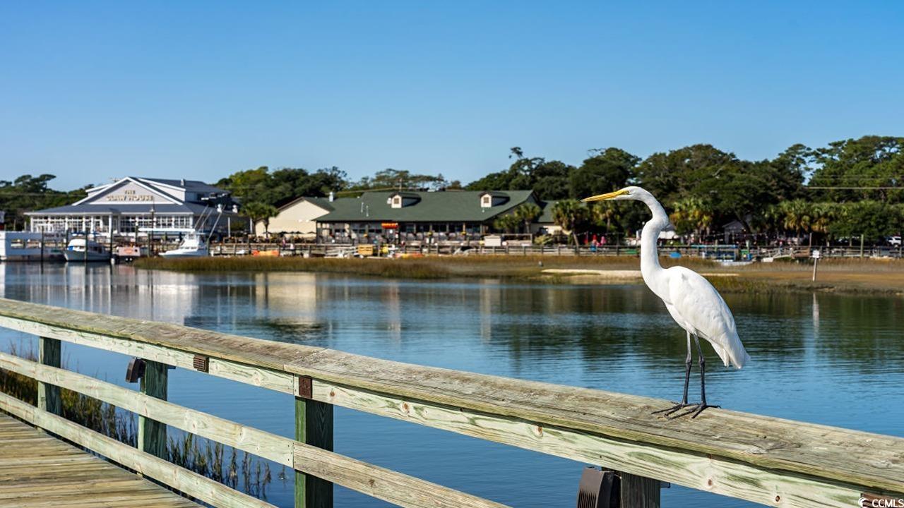 534 Haven View Way Murrells Inlet, SC 29576 - Photo 29 of 32 Gallery Image 29