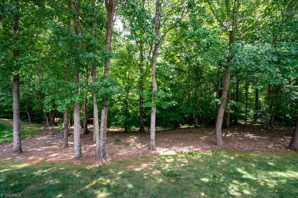 7077 Falcon Way Trinity, NC 27370 - Photo 3 of 41 Gallery Image 3