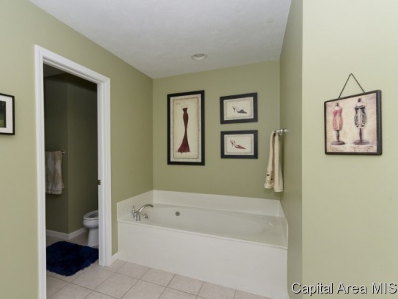 3913 Thackeray Drive Springfield, IL 62711 - Photo 11 of 20