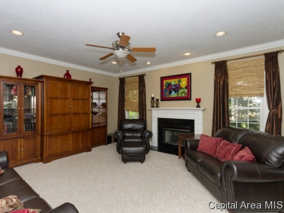 3913 Thackeray Drive Springfield, IL 62711 - Photo 3 of 20