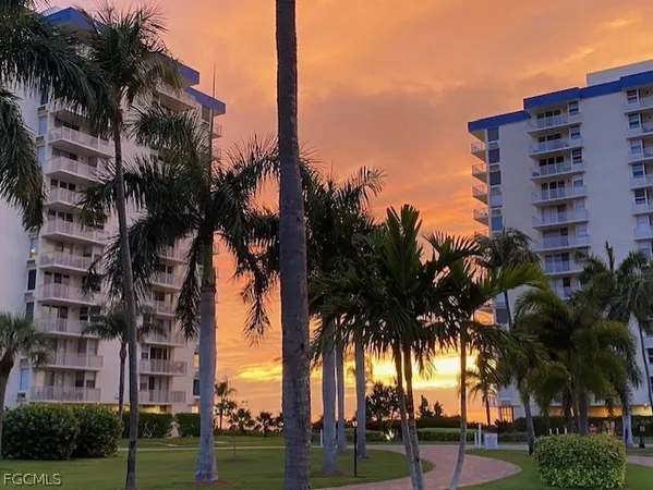 a view of a palm and tall palm trees