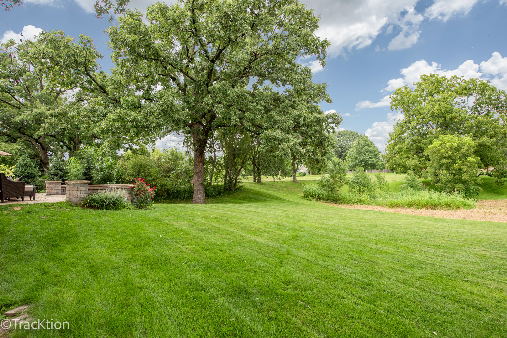 2184 Riverlea Circle Naperville, IL 60565 - Photo 20 of 20 a view of field with trees in the background