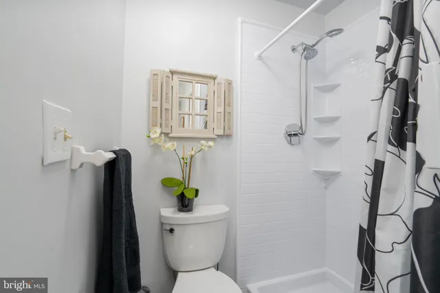 a bathroom with a shower and a toilet