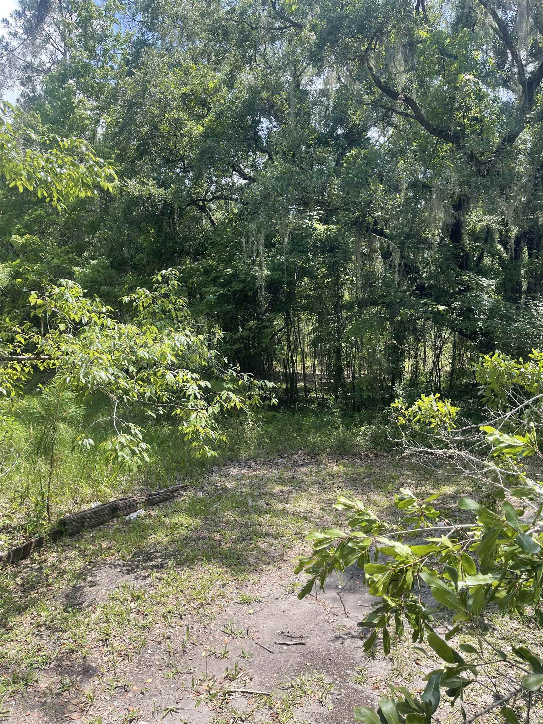 6121 Armstrong Road Elkton, FL 32033 - Photo 5 of 5 Gallery Image 5