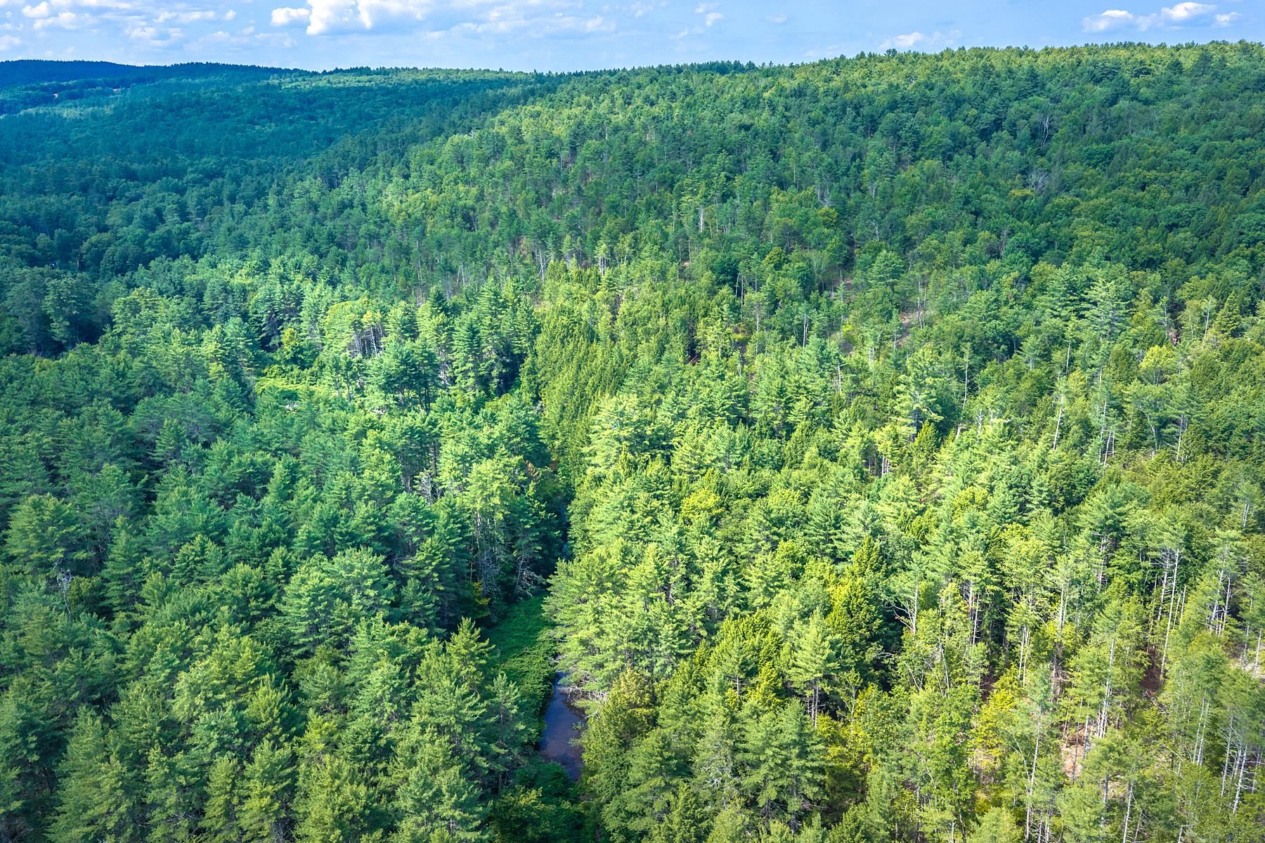 40 East Putney Brook Road Putney, VT 05346 - Photo 15 of 19