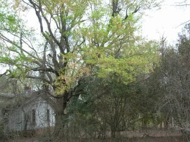 $750,000 | 7625 Fayetteville Road, Raleigh, NC 27603