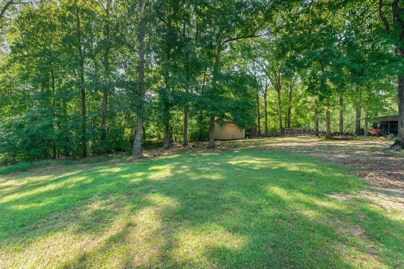 2104 Wolfe Road White Bluff, TN 37187 - Photo 22 of 23 a backyard of a house with lots of green space