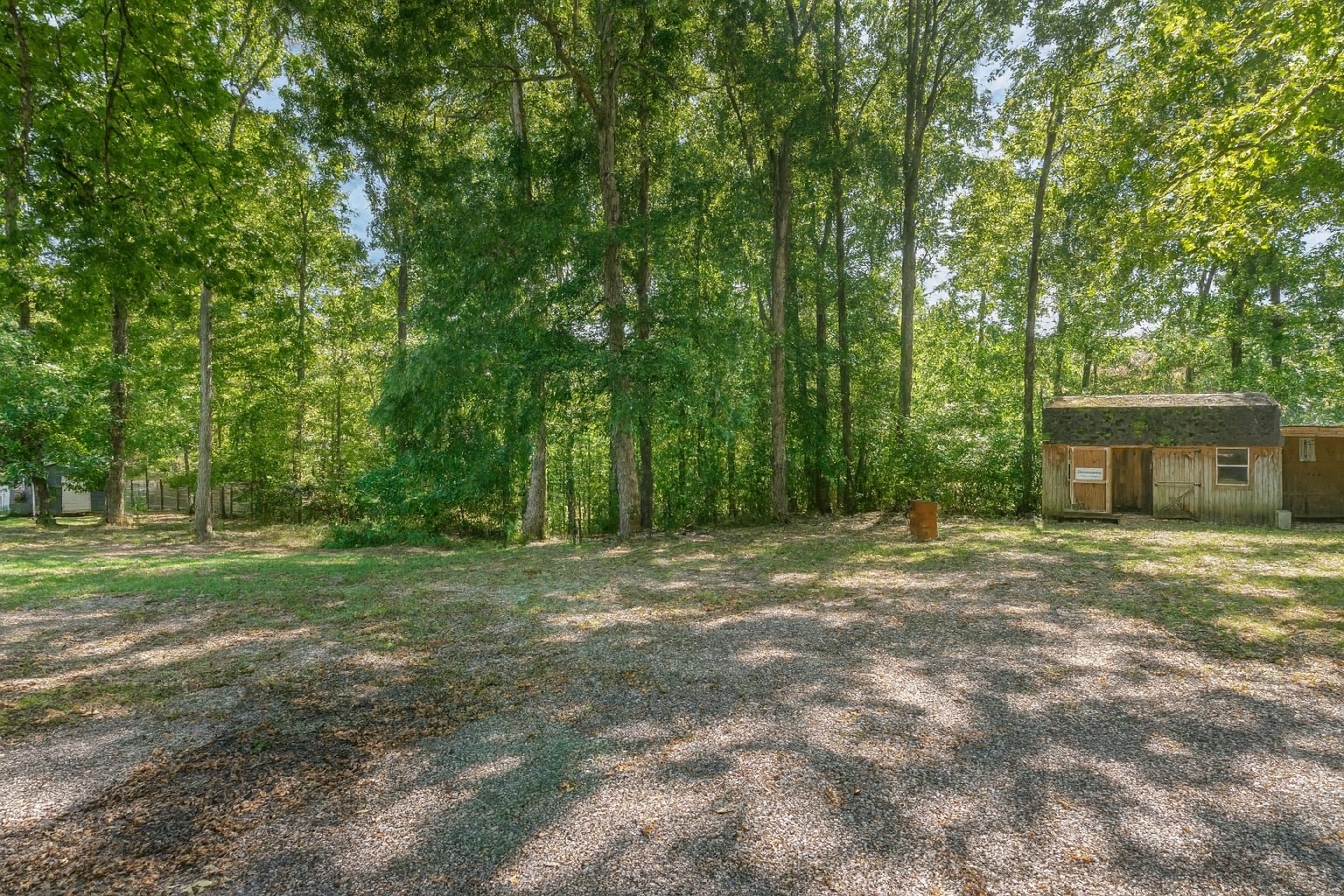 2104 Wolfe Road White Bluff, TN 37187 - Photo 23 of 23 a big yard with large trees