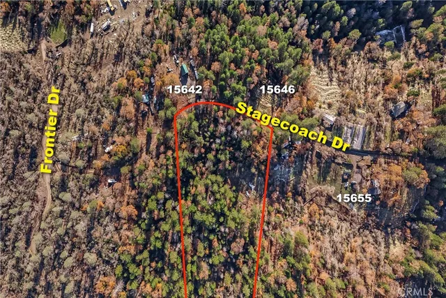 a view of a tree with flowers