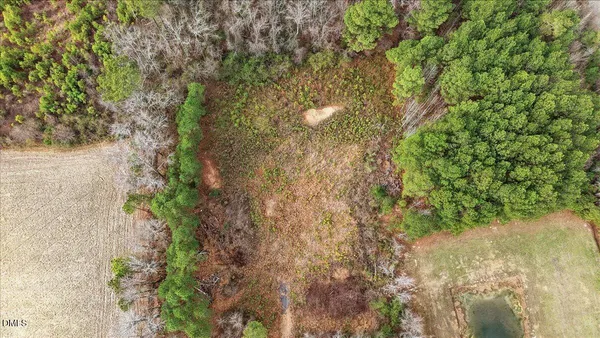 a view of a yard with plants and wooden fence