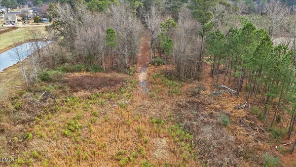 a view of a forest with trees