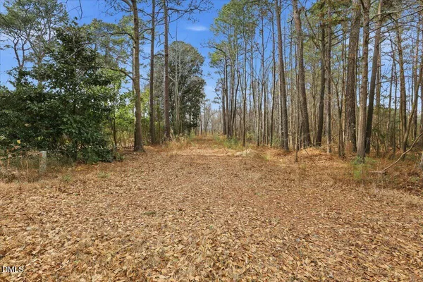 a view of outdoor space with trees