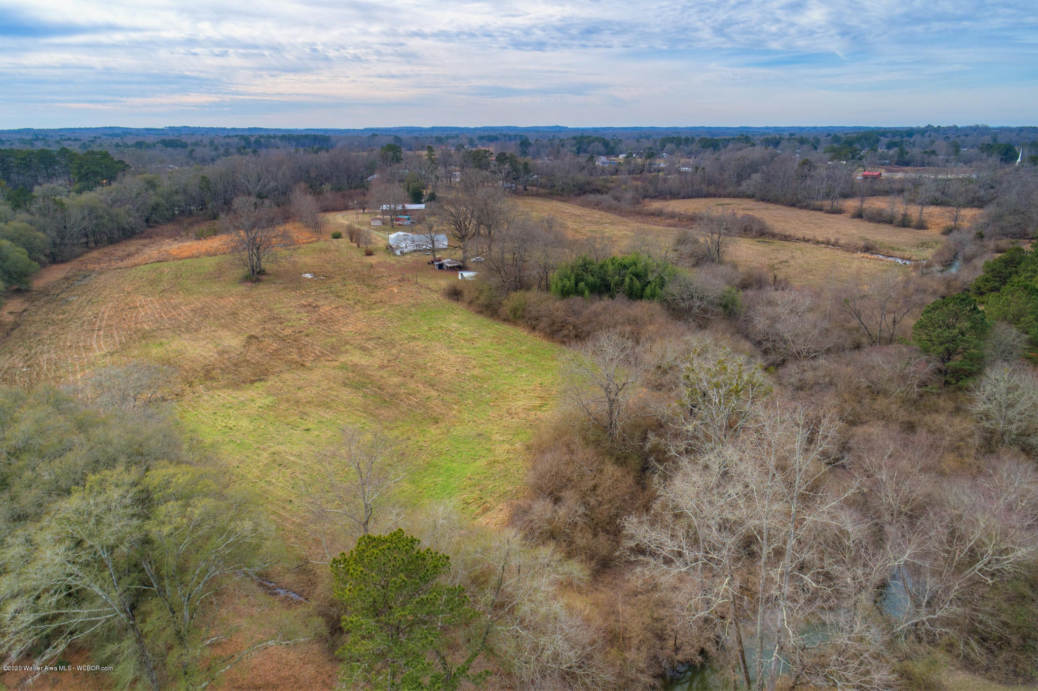 240 Gilland Road Jasper, AL 35503 - Photo 8 of 43 Gallery Image 8