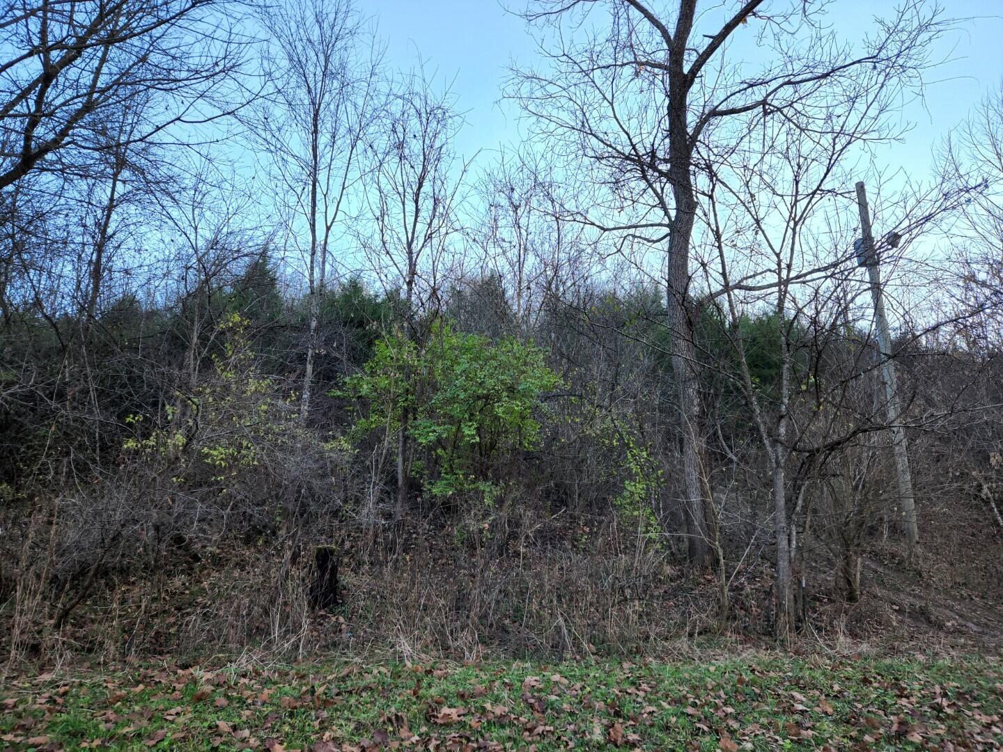 507 Vice Road Sharpsburg, KY 40374 - Photo 24 of 29 Resized_20221114_161421